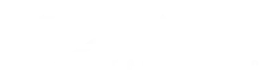 Diamond Credit Union Logo.